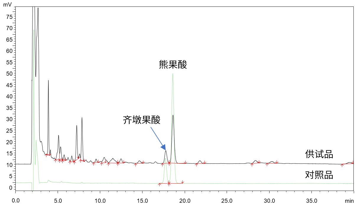 枇杷叶的含量测定 参考2025版《中国药典》